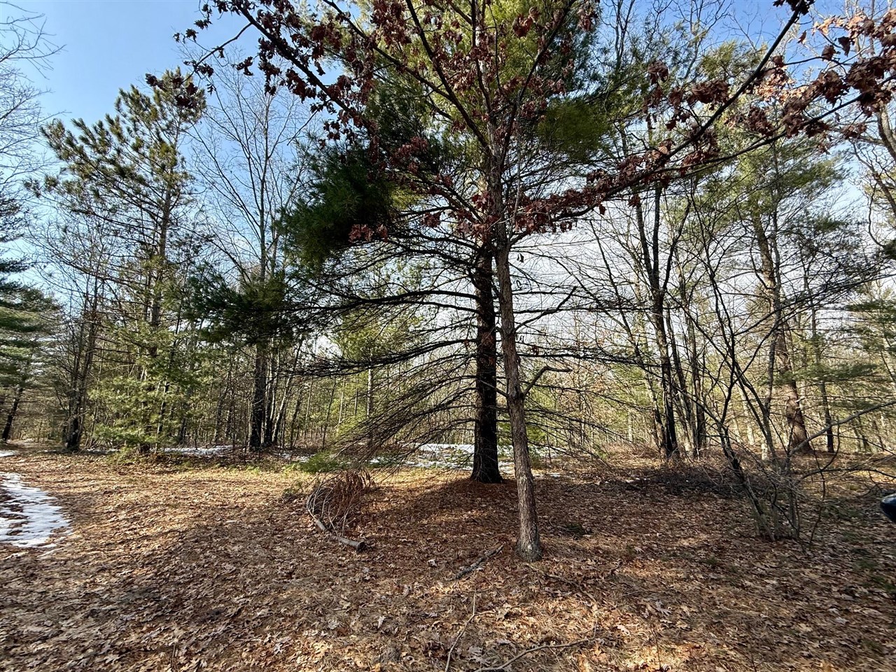 VL N Merrillville Road, Baldwin, MI, 49304