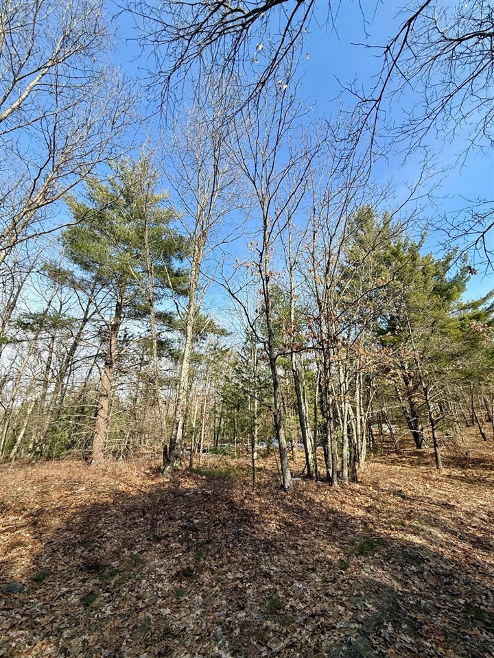 VL N Merrillville Road, Baldwin, MI, 49304