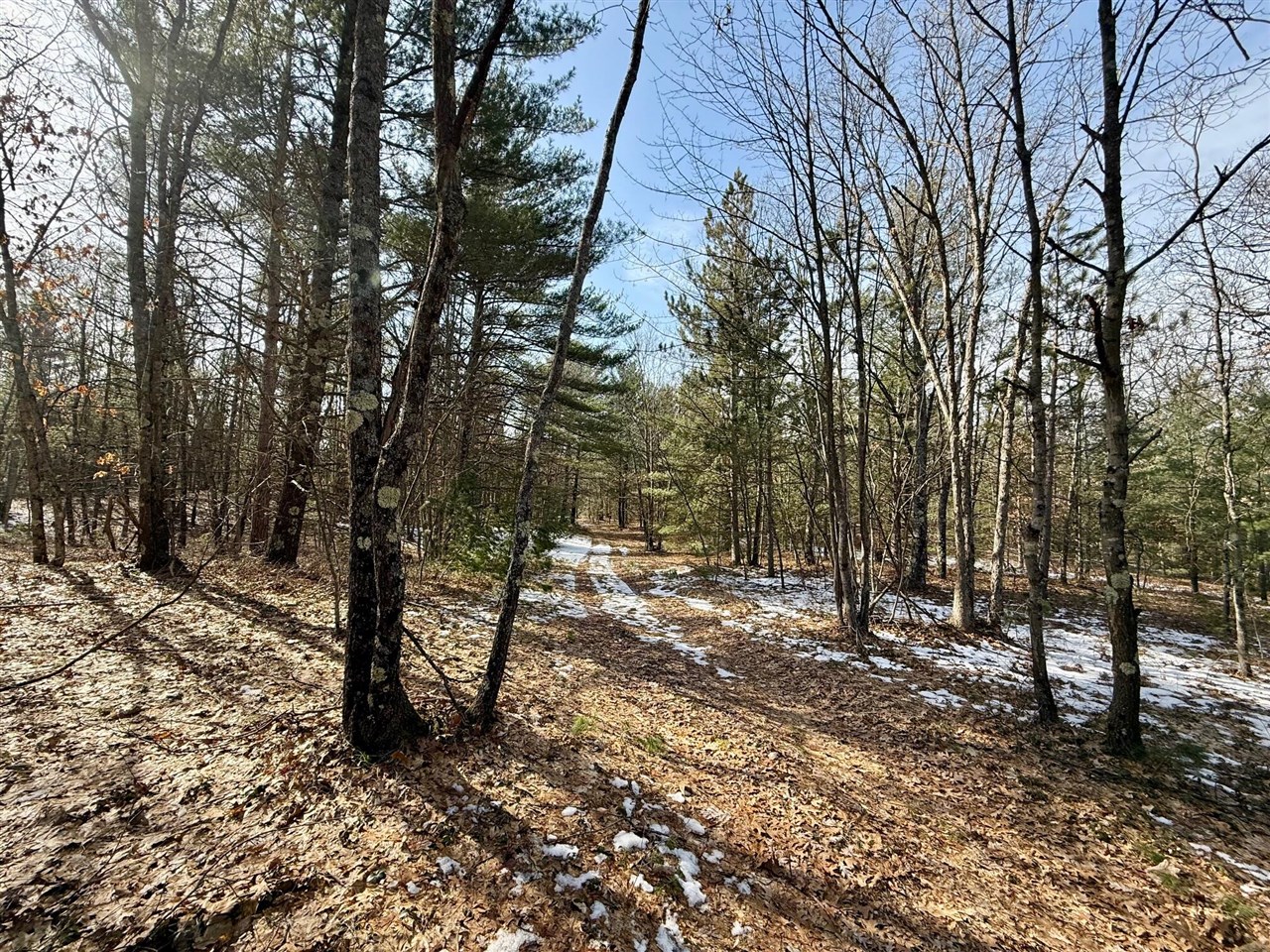 VL N Merrillville Road, Baldwin, MI, 49304