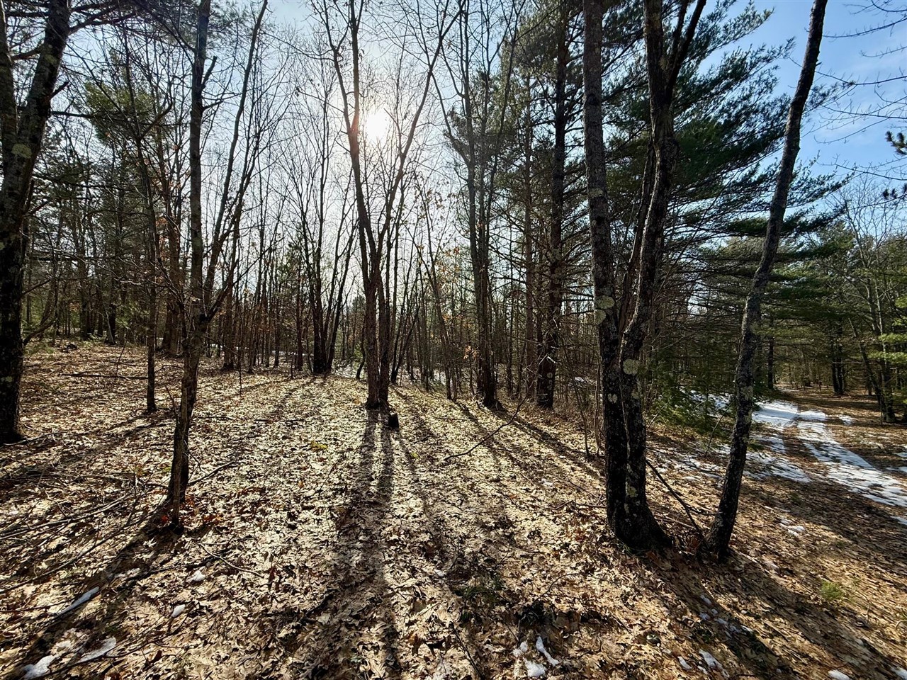 VL N Merrillville Road, Baldwin, MI, 49304