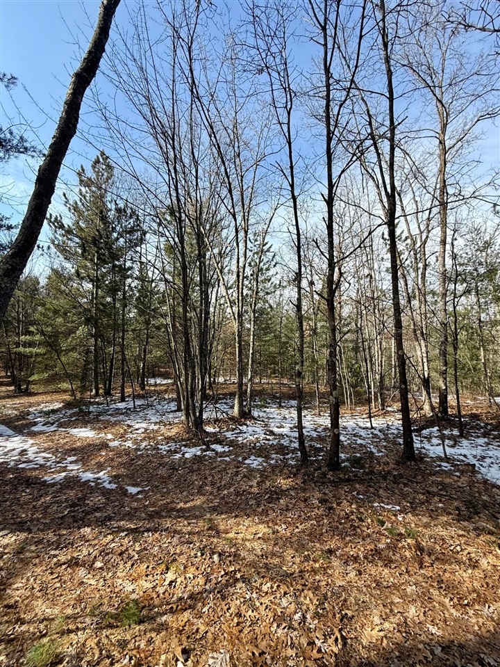 VL N Merrillville Road, Baldwin, MI, 49304