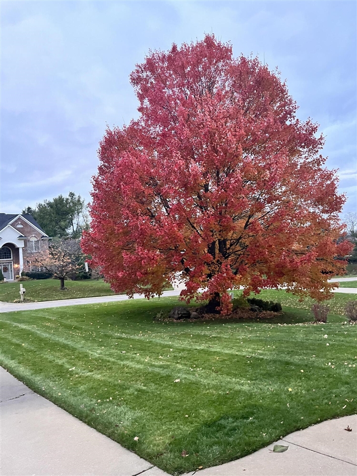 8194 Brandon Circle, Mattawan, MI, 49071