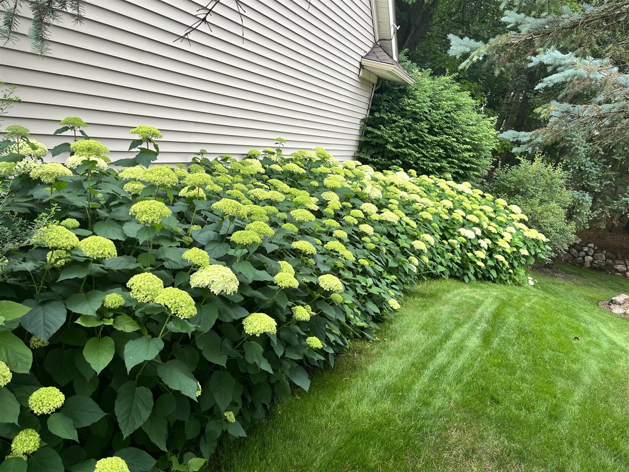 8194 Brandon Circle, Mattawan, MI, 49071