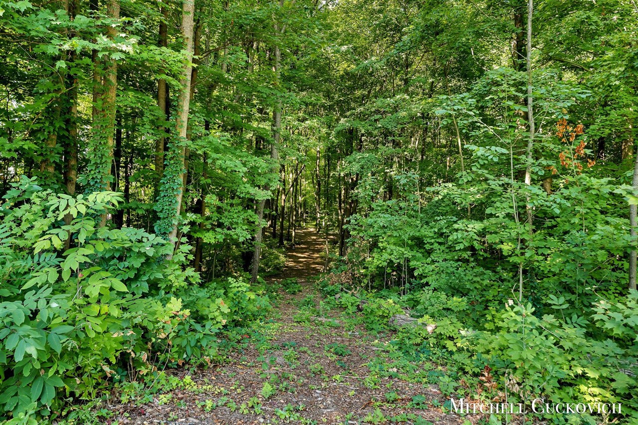 15415 Coalter Avenue, Kent City, MI, 49330-9090