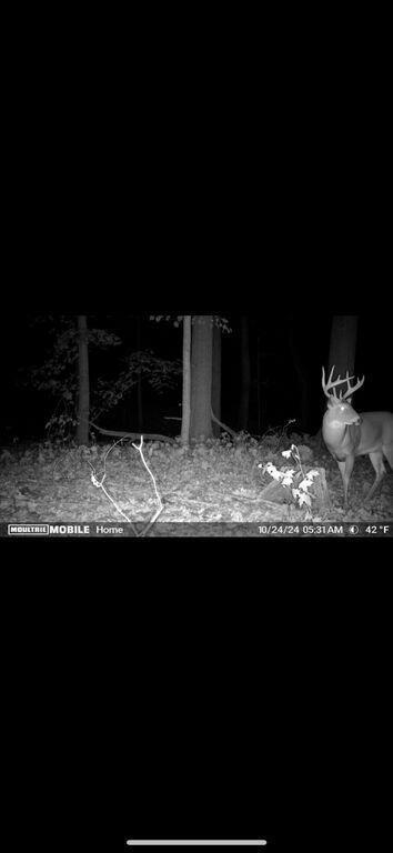 15415 Coalter Avenue, Kent City, MI, 49330-9090