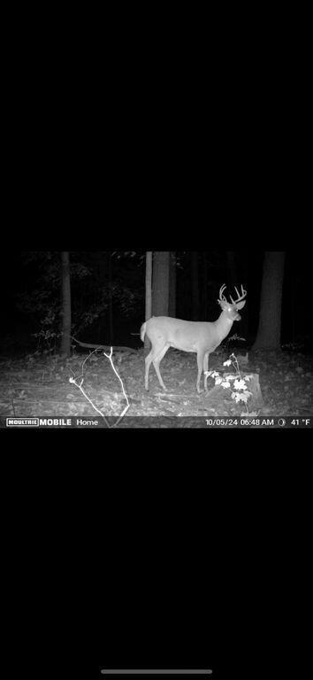 15415 Coalter Avenue, Kent City, MI, 49330-9090