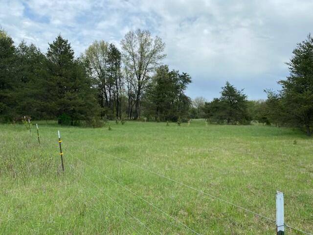 2nd image of 3878 E 2 Mile Rd, White Cloud, MI 49349 | MLS# 70521449