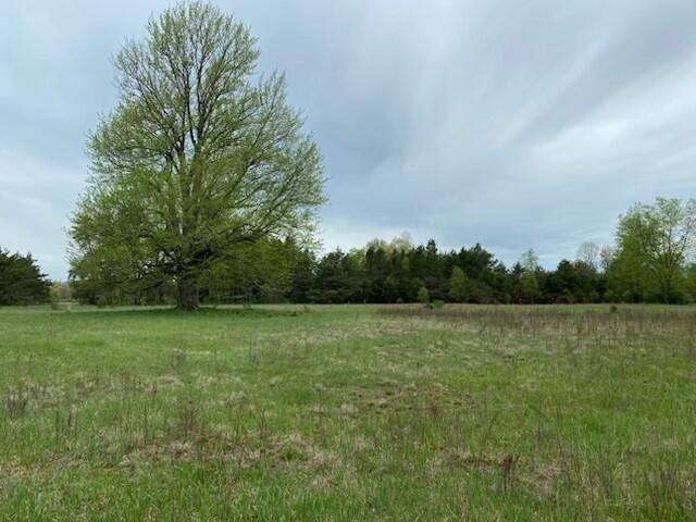 4th image of 3878 E 2 Mile Rd, White Cloud, MI 49349 | MLS# 70521449