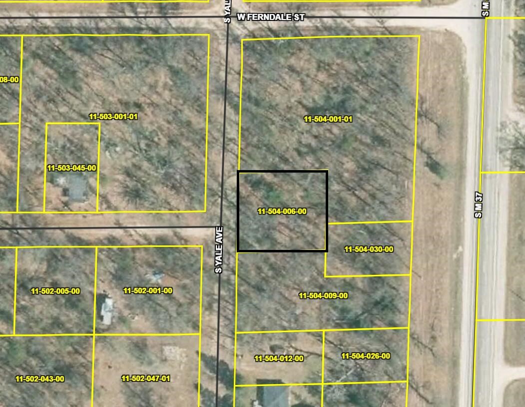 VL Yale Avenue, Baldwin, MI, 49304