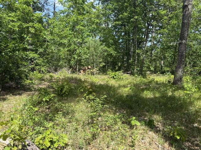 4th image of Vl Yale Ave, Baldwin, MI 49304 | MLS# 70521466