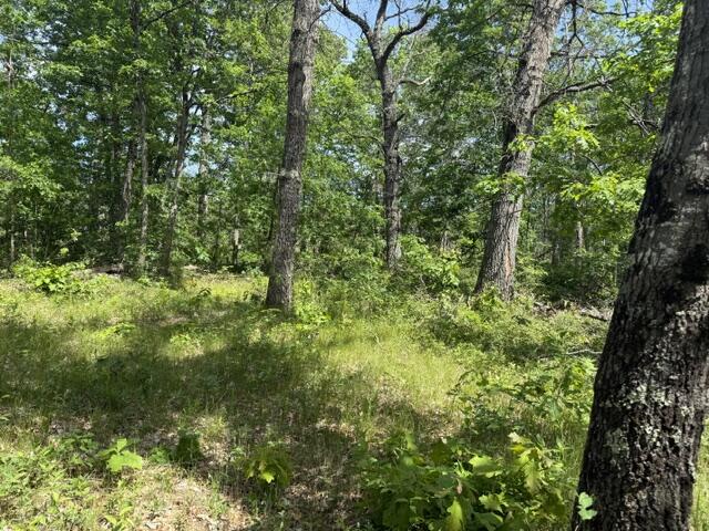 5th image of Vl Yale Ave, Baldwin, MI 49304 | MLS# 70521466
