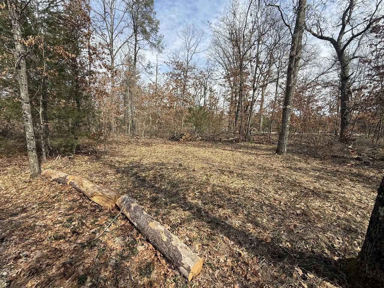 VL Yale Avenue, Baldwin, MI, 49304