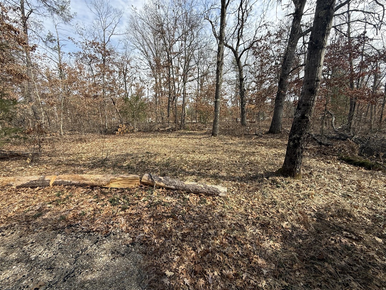 VL Yale Avenue, Baldwin, MI, 49304