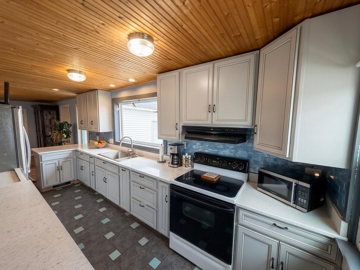 4409 W 1 Mile Road, White Cloud, MI, 49349-9723