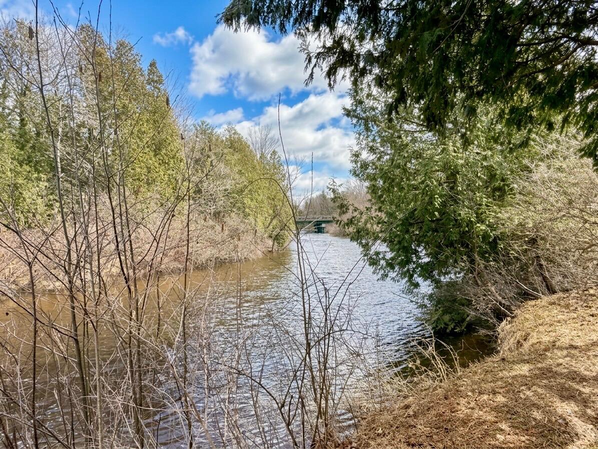 4409 W 1 Mile Road, White Cloud, MI, 49349-9723