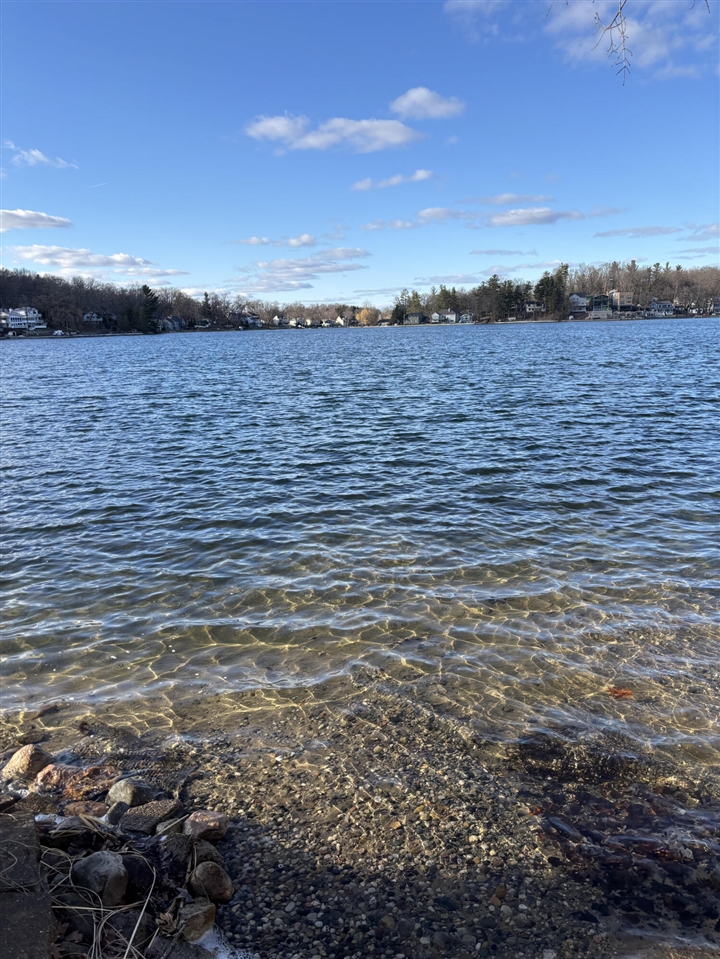 8457 Brower Lake Drive, Rockford, MI, 49341-9346