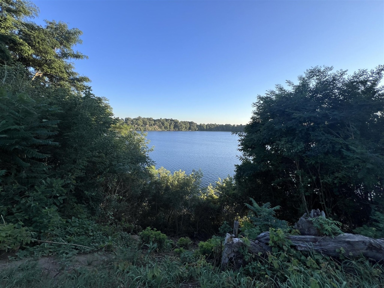 12039 Bair Lake Street, Jones, MI, 49061