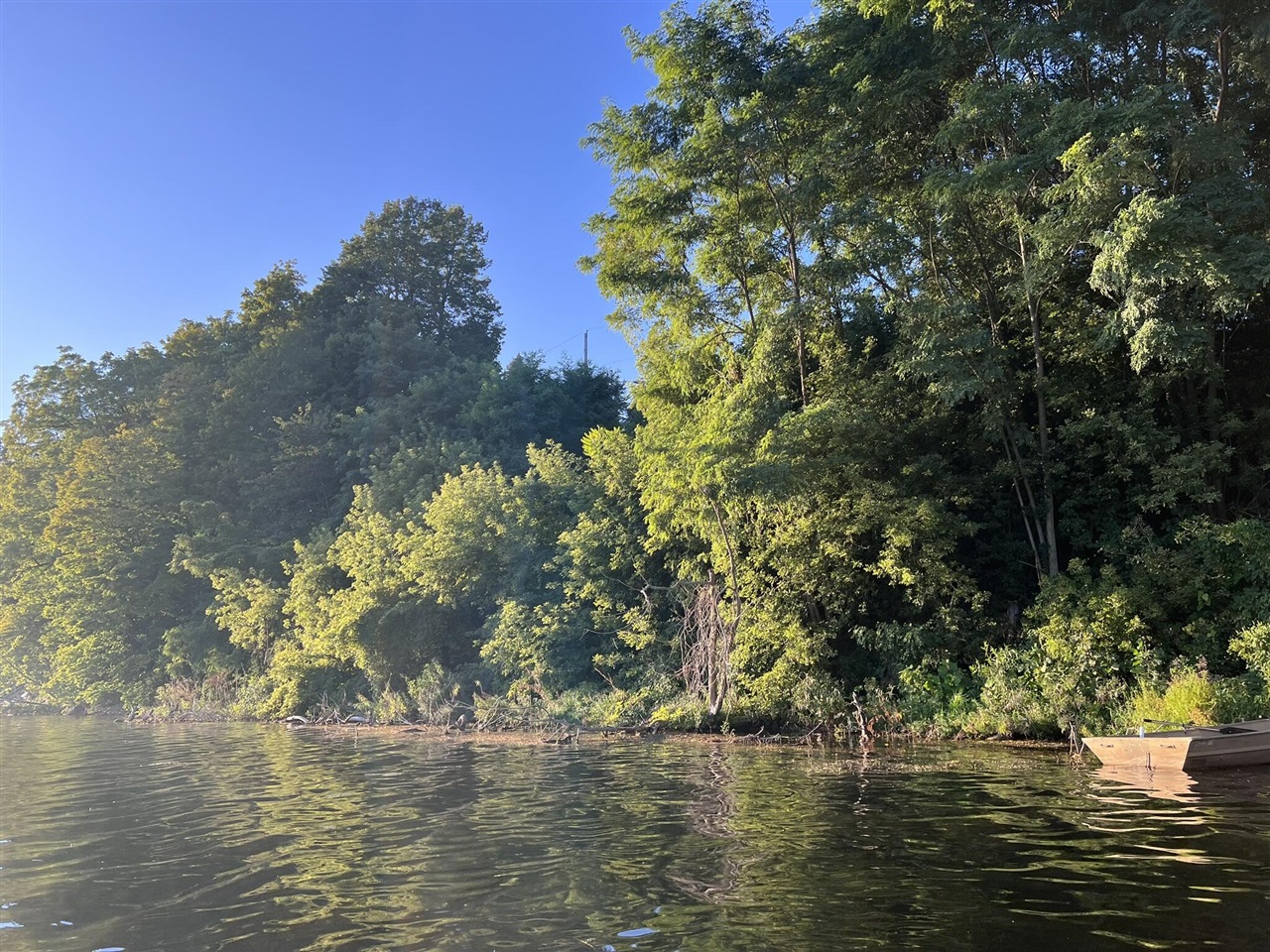 12039 Bair Lake Street, Jones, MI, 49061