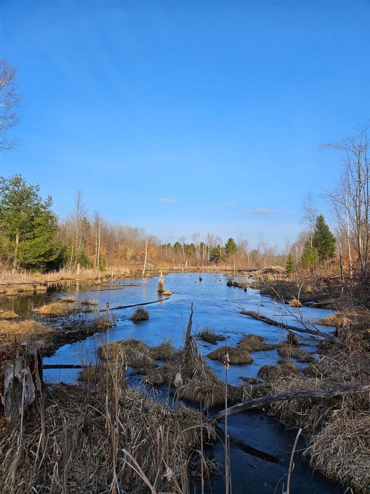 Homes for sale in Mio, MI | 152 Acres W Miller Rd, Mio, MI 48647 | MLS# 70521663