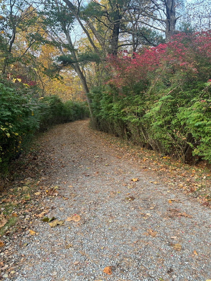 9995 Community Hall Road, Union Pier, MI, 49129-9304