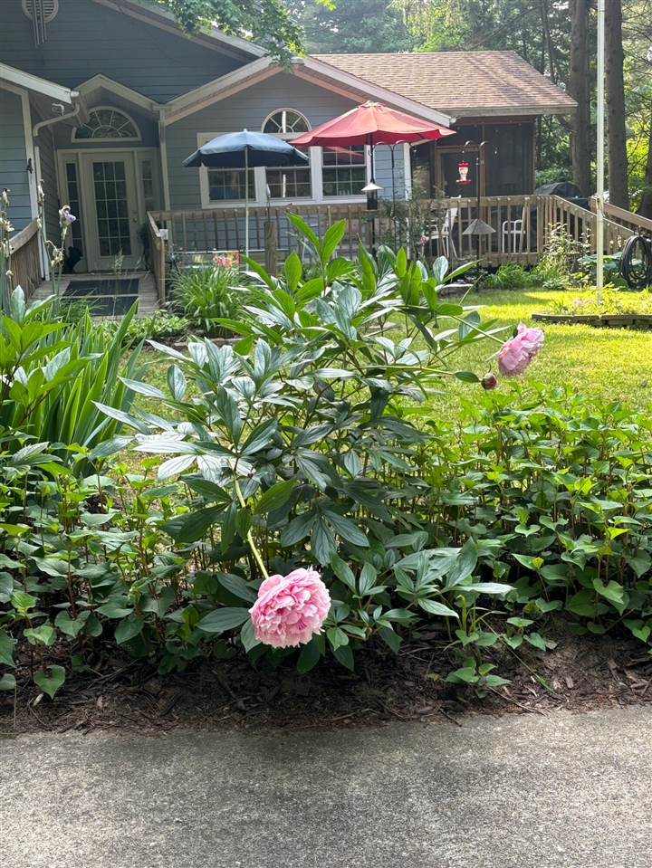 9995 Community Hall Road, Union Pier, MI, 49129-9304