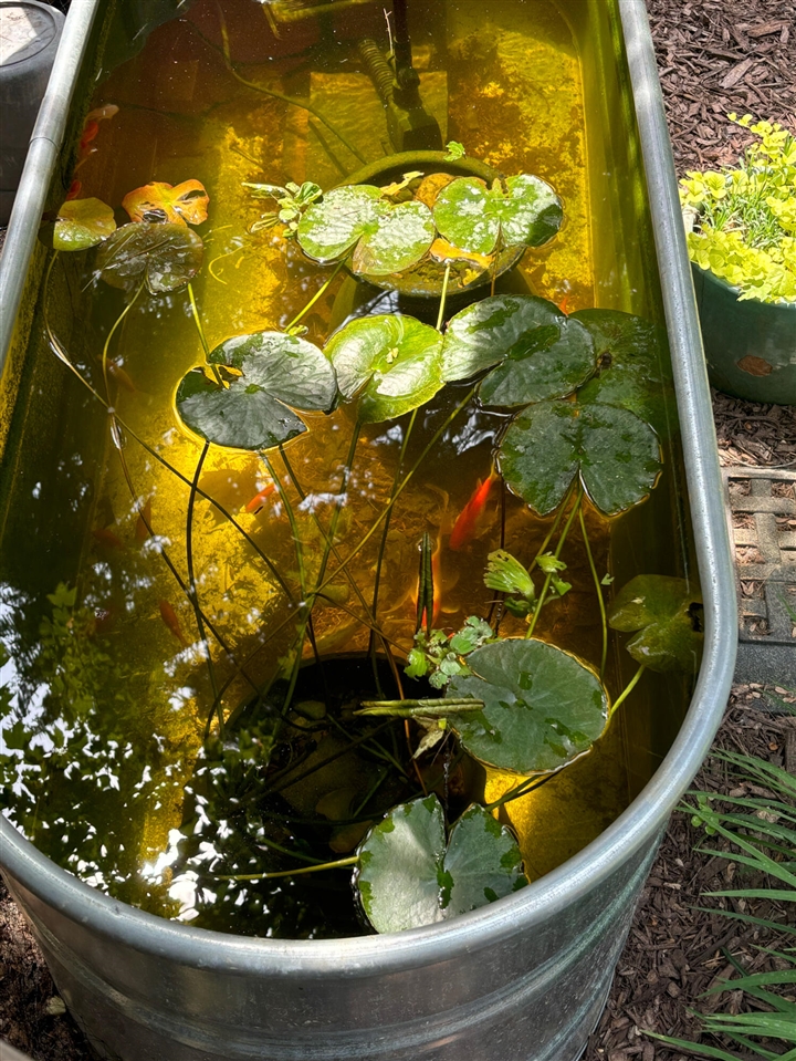 9995 Community Hall Road, Union Pier, MI, 49129-9304