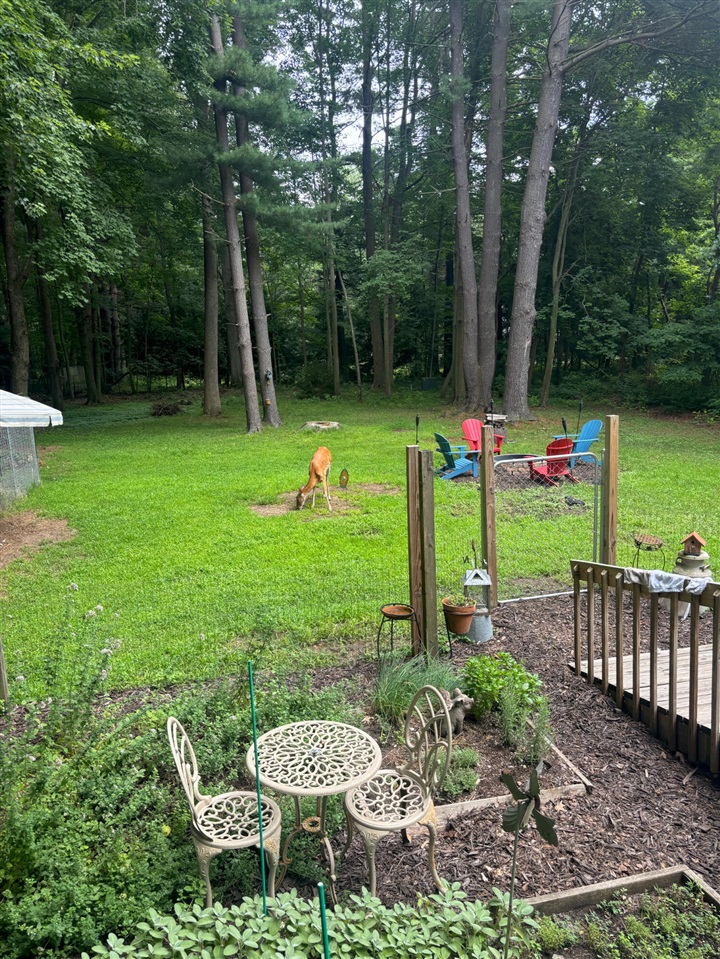 9995 Community Hall Road, Union Pier, MI, 49129-9304