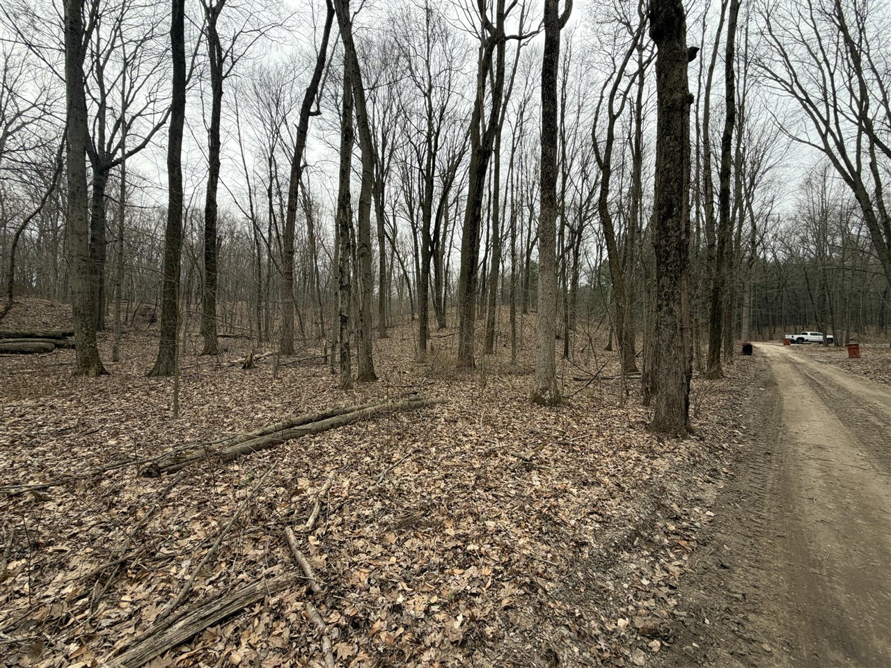 1706 Vinewood Street, Detroit, MI, 48216 1447