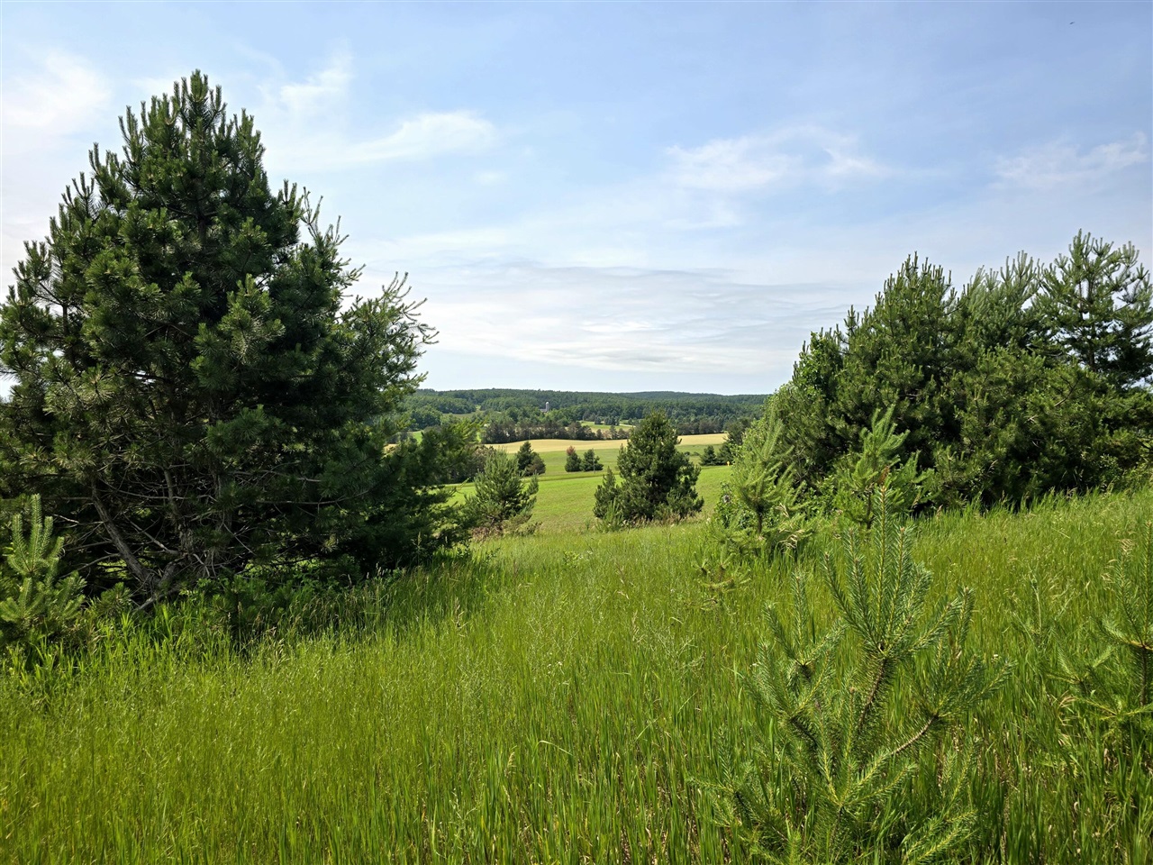 1st image of 5850 Deer Run Trl, Harbor Springs, MI 49740 | MLS# 70521850