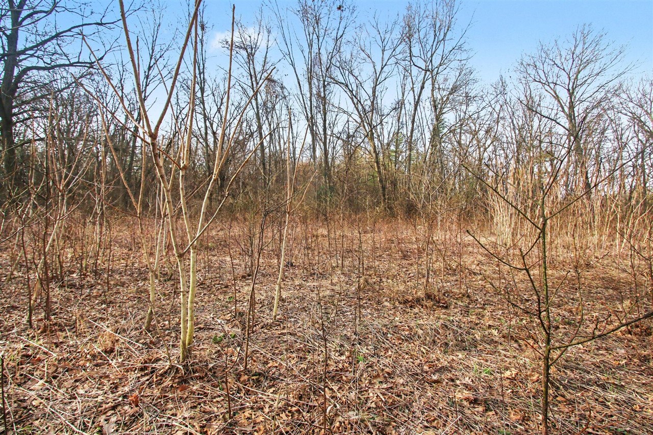 VL Bridge Road, Allegan, MI, 49010