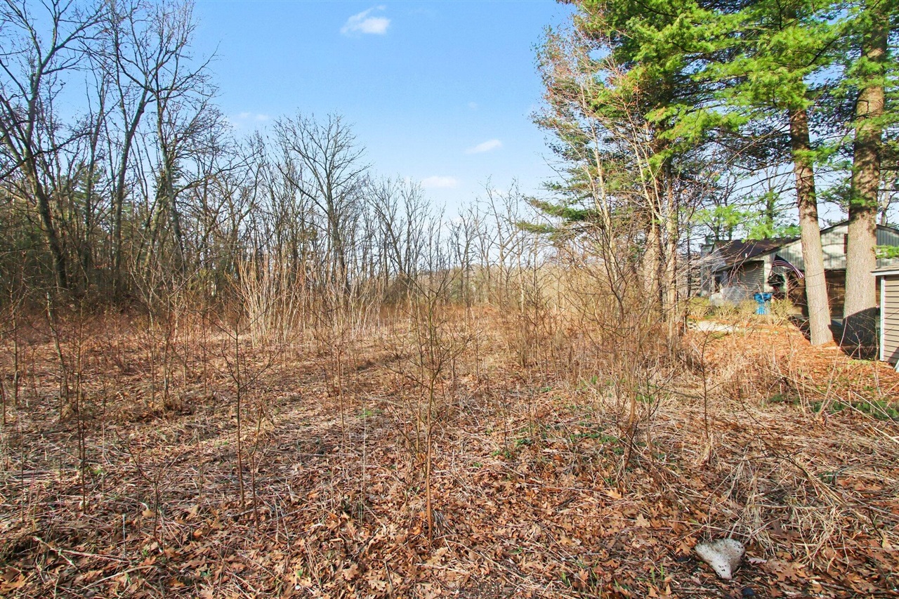 VL Bridge Road, Allegan, MI, 49010