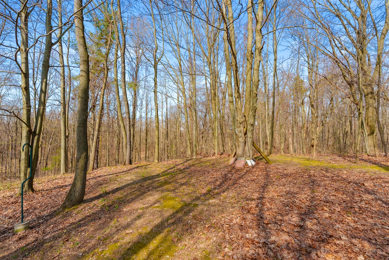 27965 North Street, Gobles, MI, 49055-9267