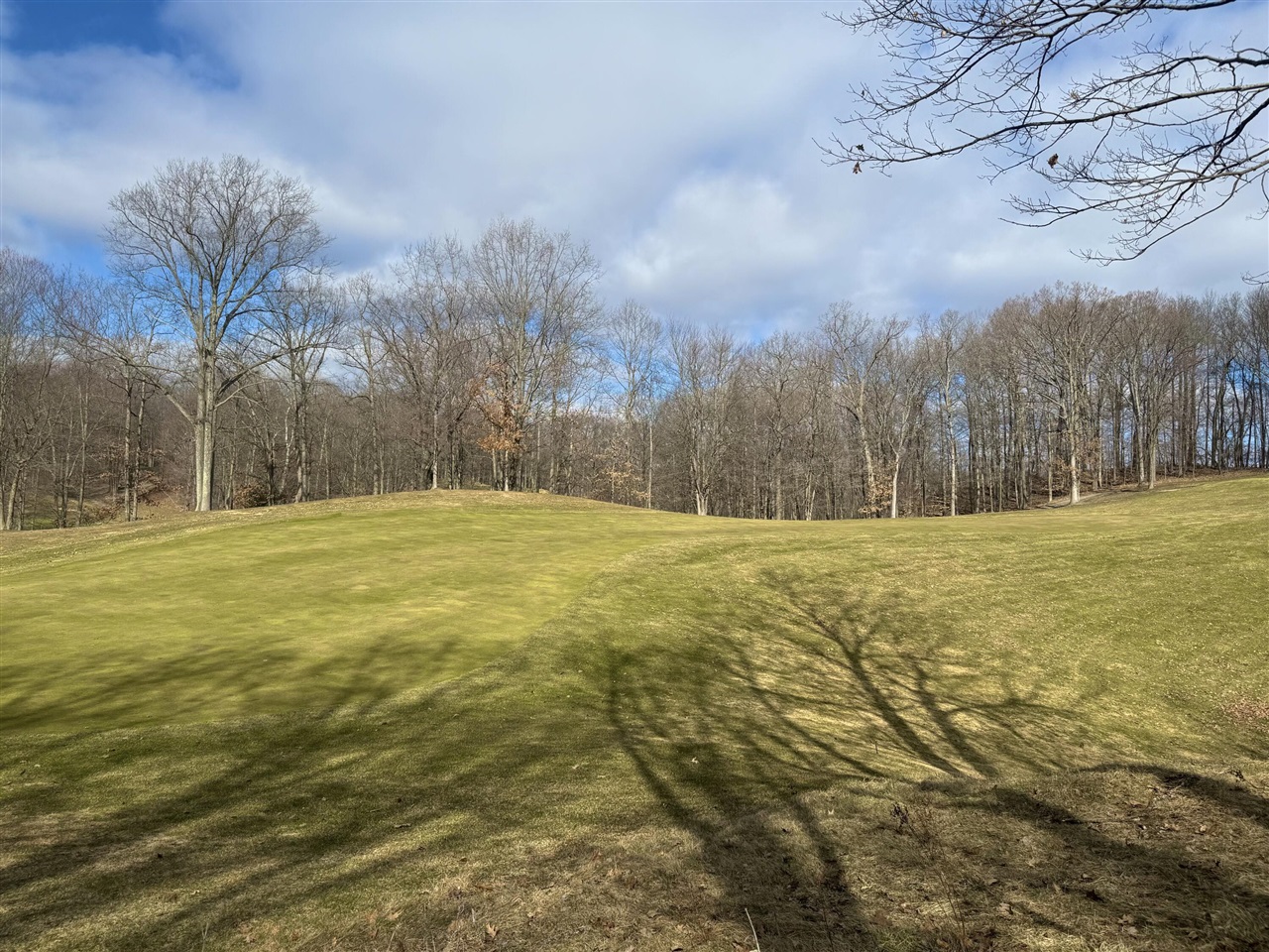 Photo 1 of Land for sale at 9689 Saint Ives Dr, Stanwood, MI 49346 | MLS# 70521955 | Listing updated on 2026-10-21