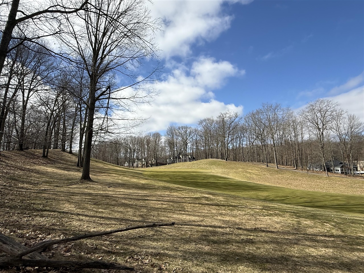 Photo 3 of Land for sale at 9689 Saint Ives Dr, Stanwood, MI 49346 | MLS# 70521955 | Listing updated on 2026-10-21