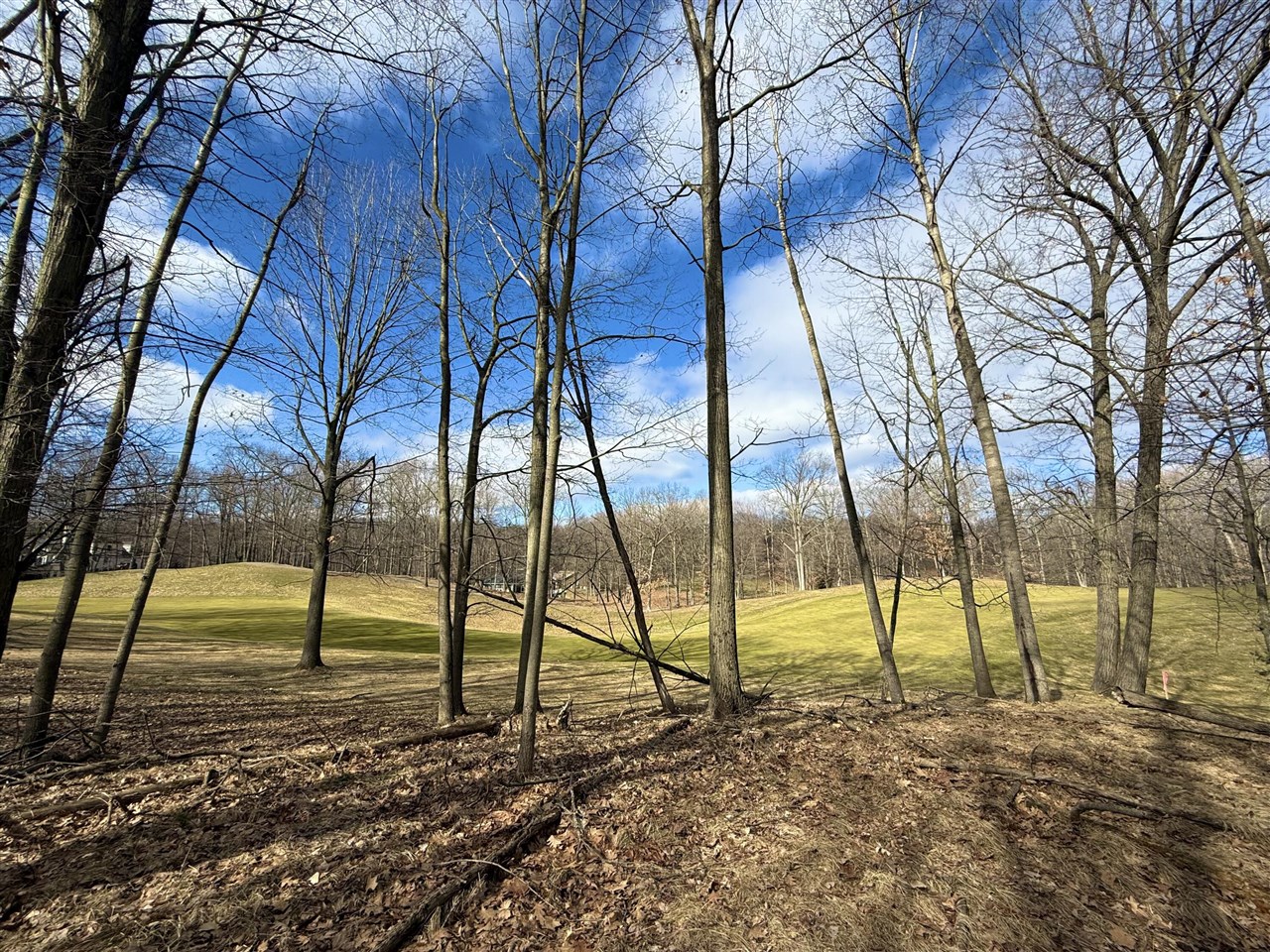 Photo 3 of Land for sale at 9689 Saint Ives Dr, Stanwood, MI 49346 | MLS# 70521955 | Listing updated on 2026-10-21