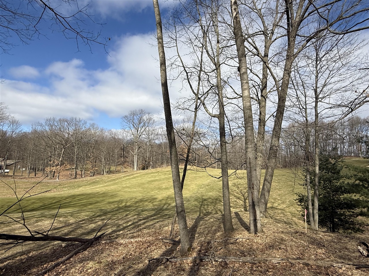 Photo 4 of Land for sale at 9689 Saint Ives Dr, Stanwood, MI 49346 | MLS# 70521955 | Listing updated on 2026-10-21