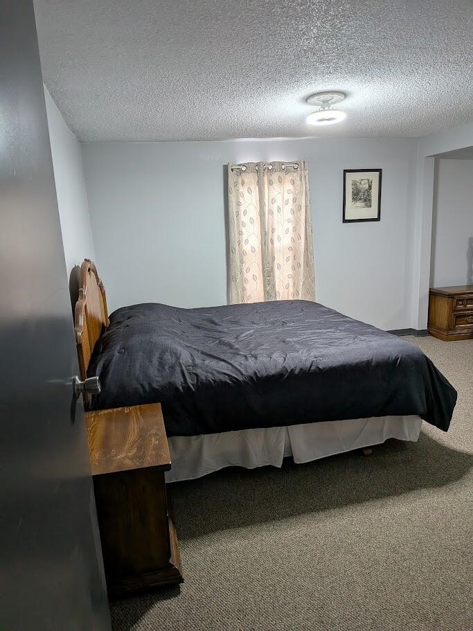 7202 21 Mile Road, Evart, MI, 49631