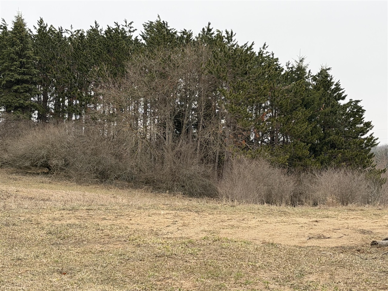 7202 21 Mile Road, Evart, MI, 49631