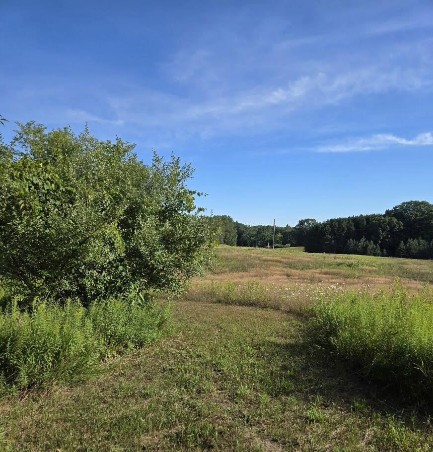 7202 21 Mile Road, Evart, MI, 49631