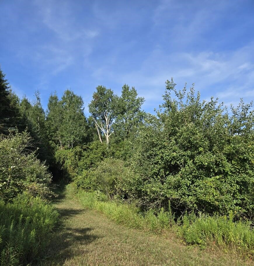 7202 21 Mile Road, Evart, MI, 49631