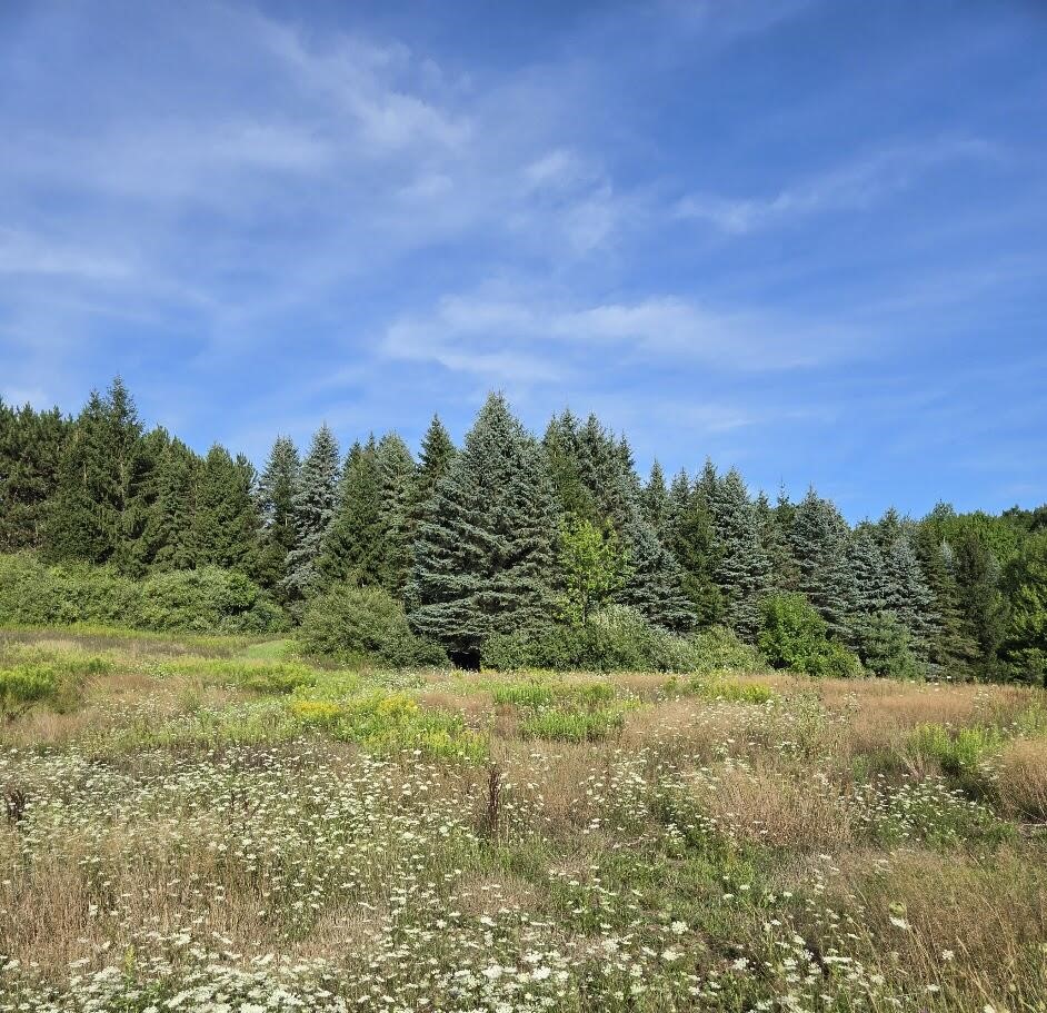 7202 21 Mile Road, Evart, MI, 49631