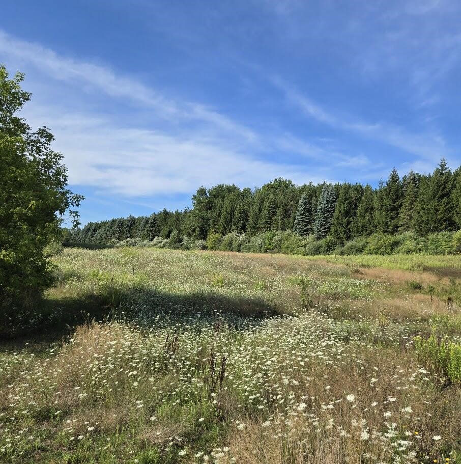 7202 21 Mile Road, Evart, MI, 49631