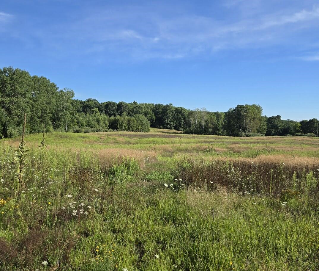 7202 21 Mile Road, Evart, MI, 49631