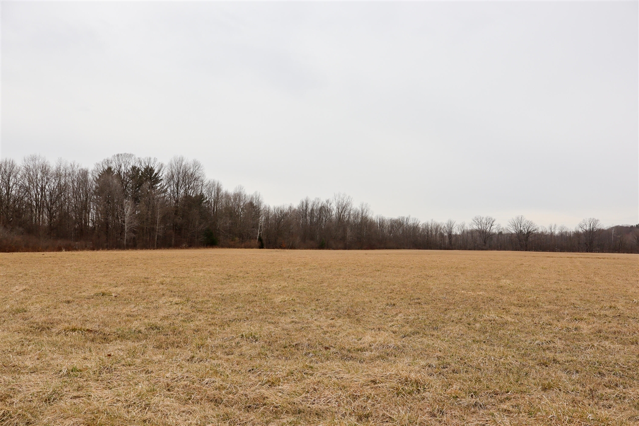 Mayer Road, Wales, MI, 48027