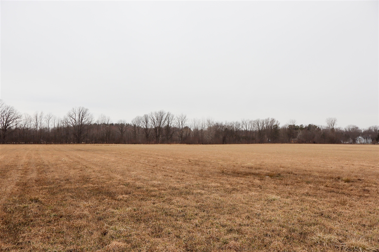 Mayer Road, Wales, MI, 48027