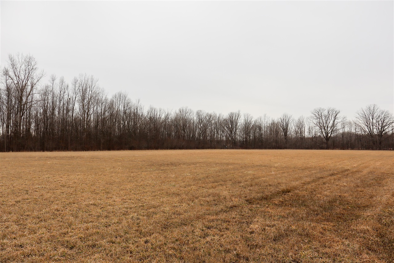 Mayer Road, Wales, MI, 48027