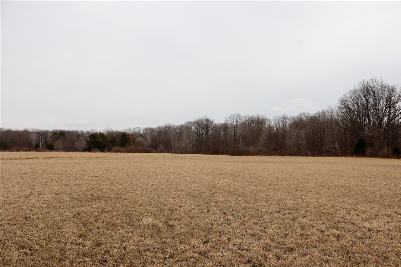 Mayer Road, Wales, MI, 48027