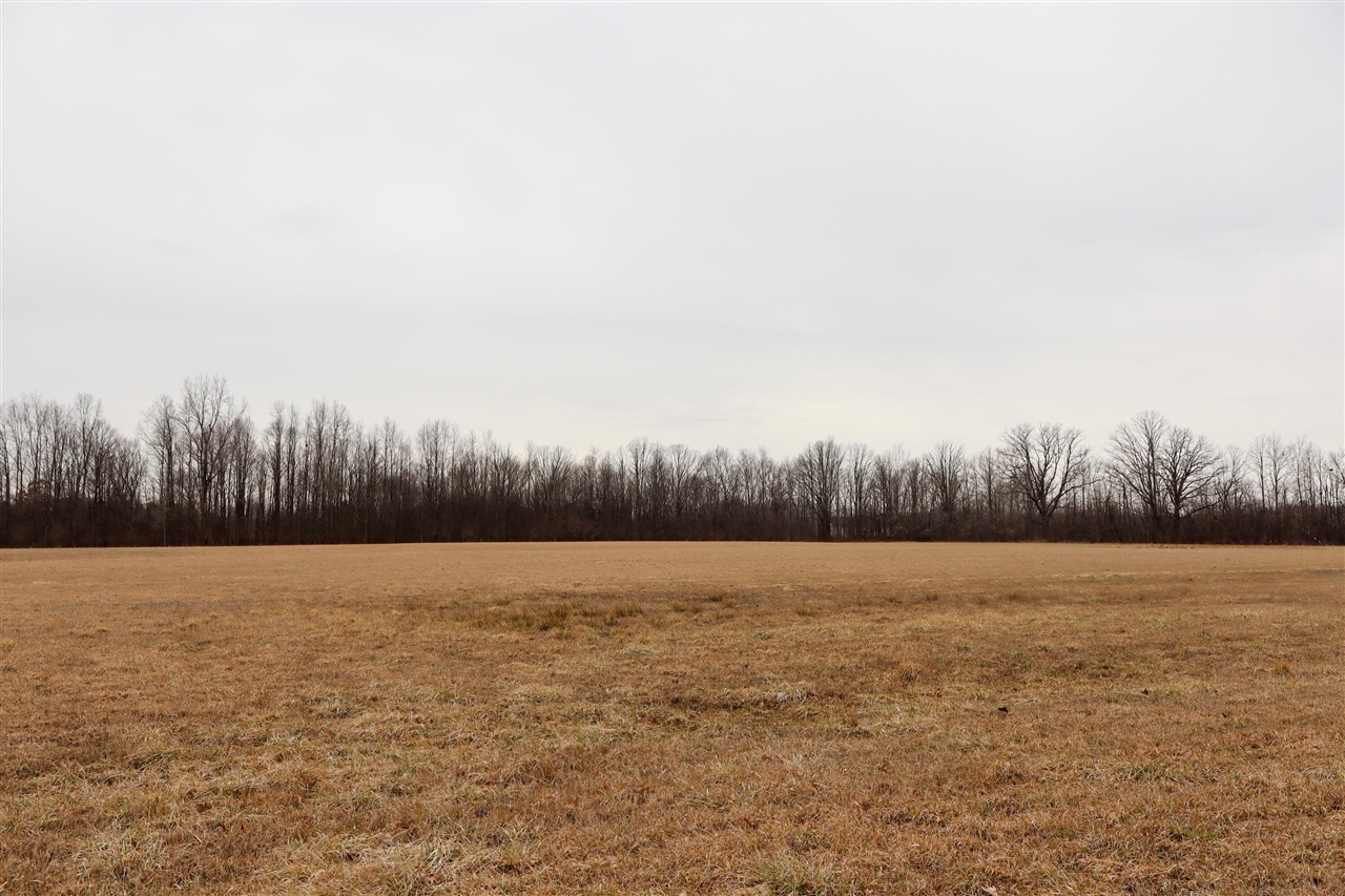 Mayer Road, Wales, MI, 48027