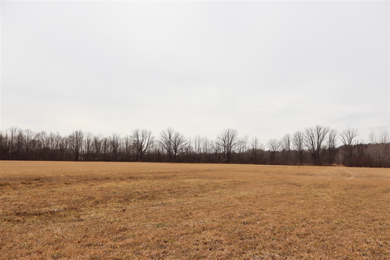 Mayer Road, Wales, MI, 48027