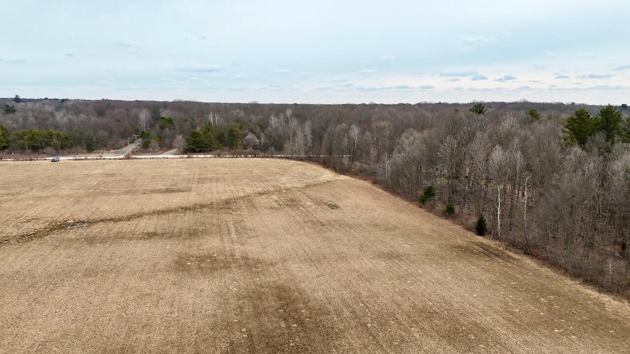 Mayer Road, Wales, MI, 48027